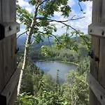Waldfrieden 