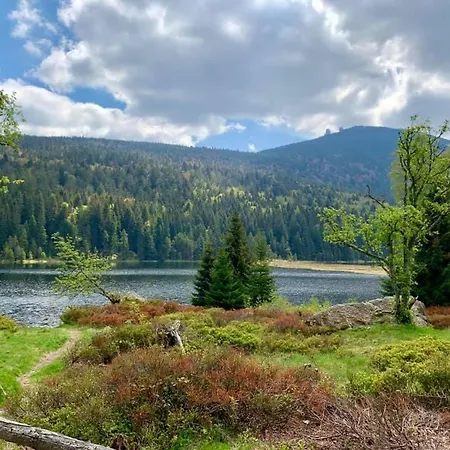 Waldfrieden 