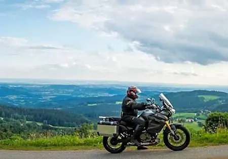 Waldfrieden 