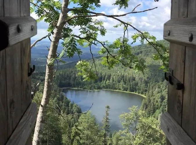 Waldfrieden 