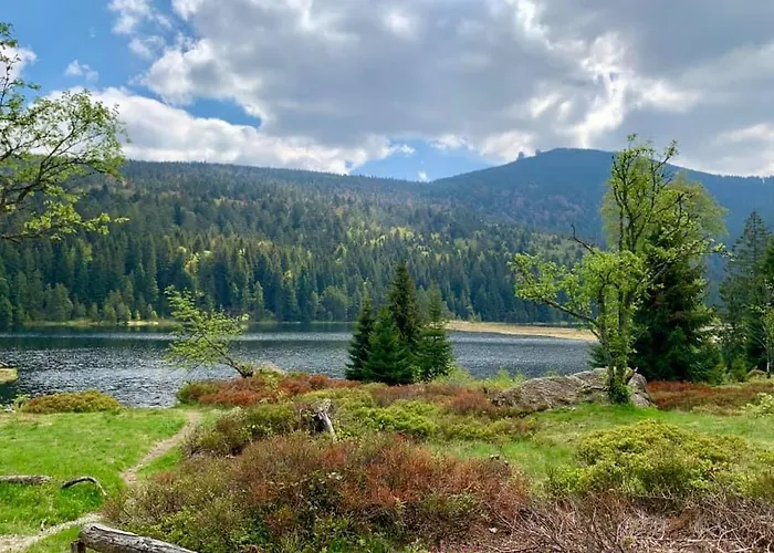 Waldfrieden 